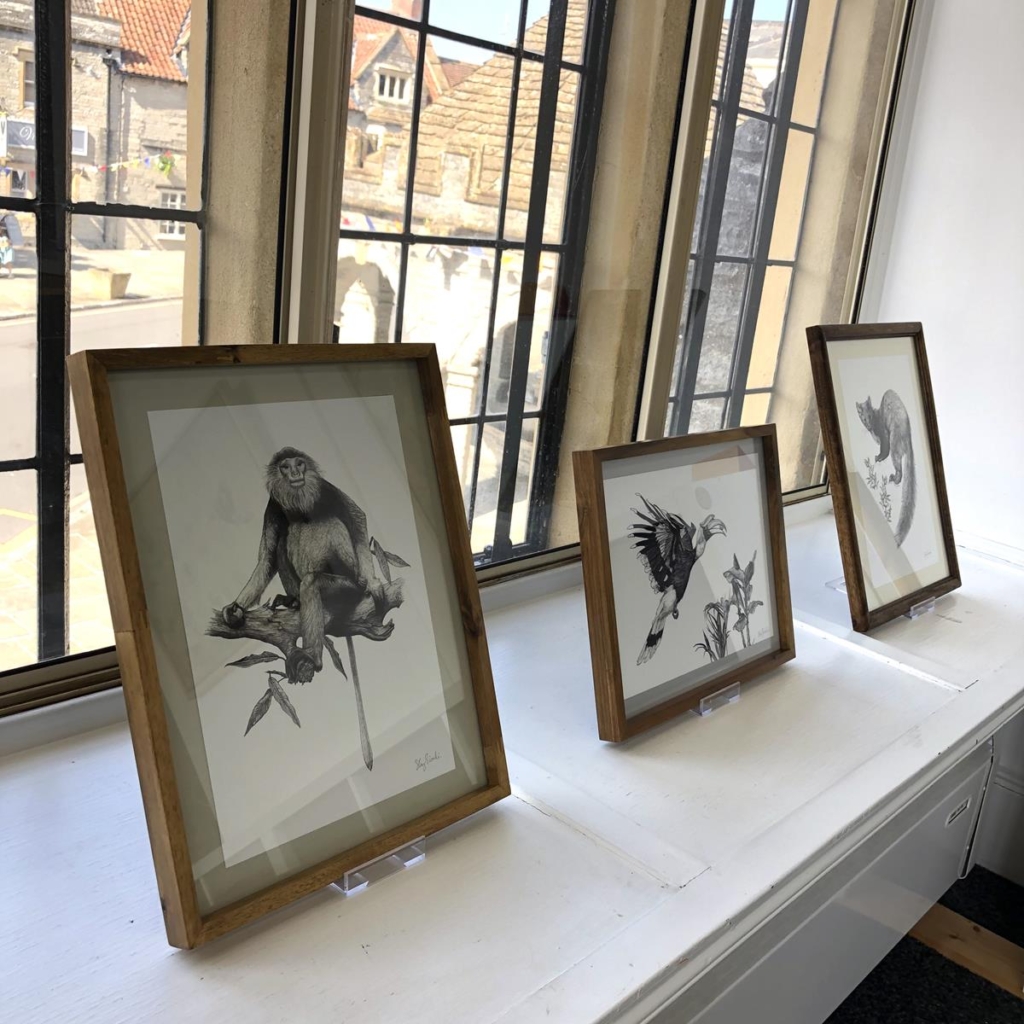 Sky Siouki framed prints - Endangered exhibition