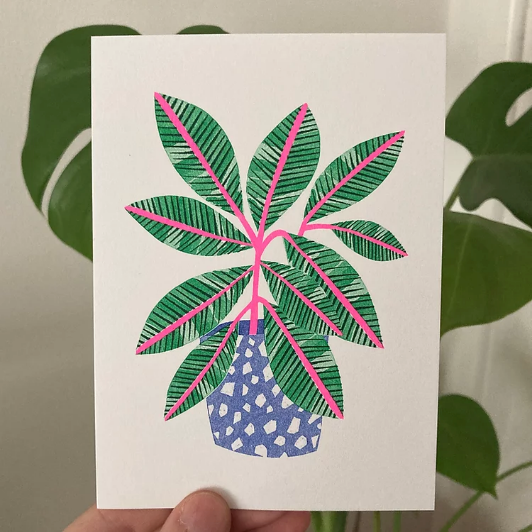 print of green and pink plant in blue pot by Melissa Donne