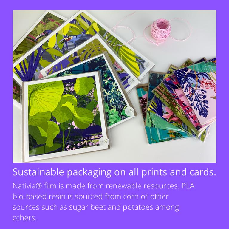 Rosie Reiter sustainable packaging graphic
