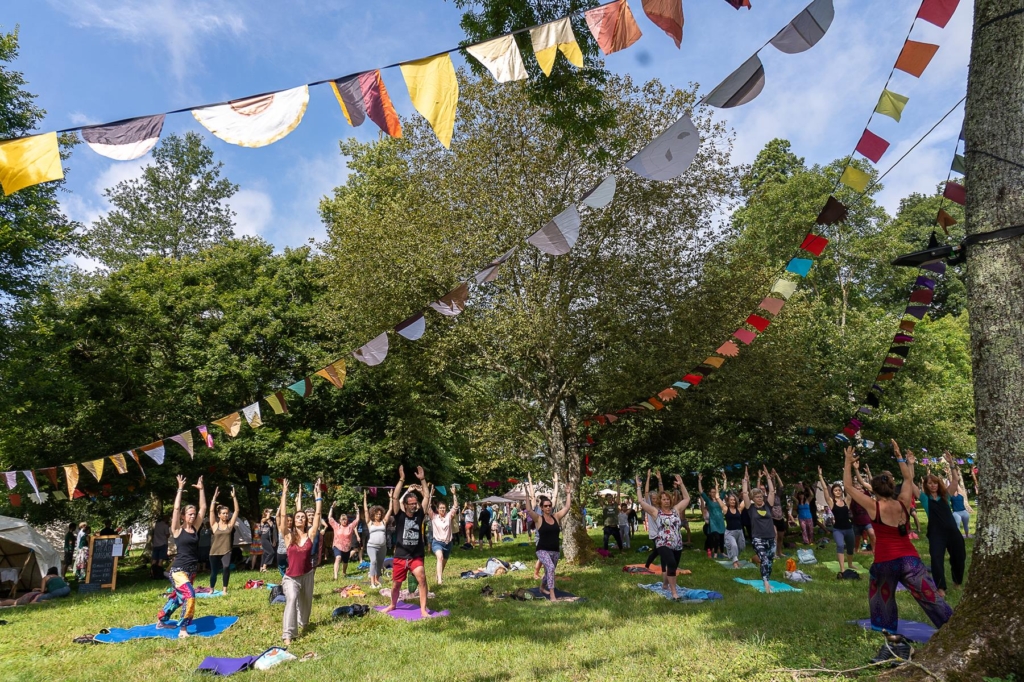WOMAD Festival yoga workshop in a tranquil glade.