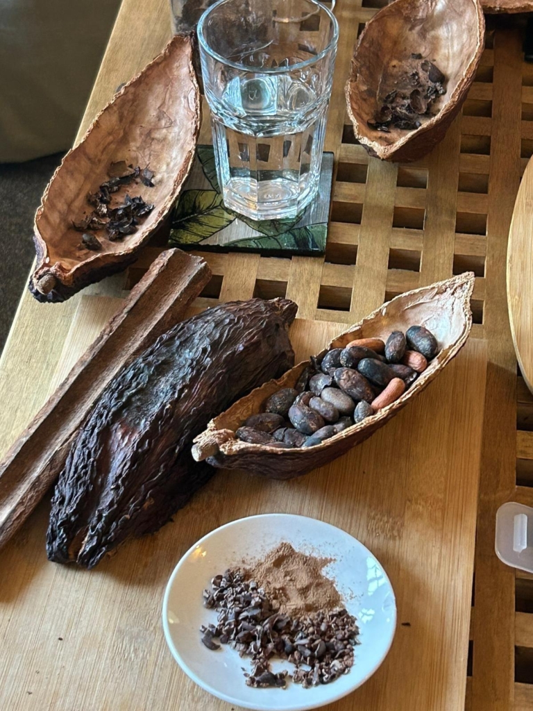 Cocoa husks laid out on a table, with oval cocoa beans inside, and some crushed beans on a plate.